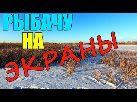 Видео: Экраны трещали от рыбы!!! Давно я так не рыбачил!!!