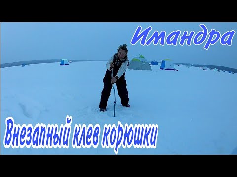 Видео: Озеро Имандра. Поймал сига. Ничто не предвещало такого клева корюшки. Танец жены с ледобуром.