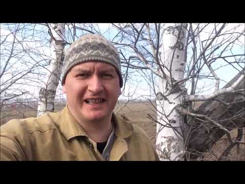 Видео: Княжеский самогон из березового сока.