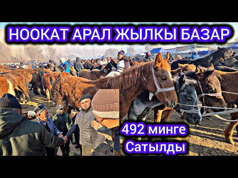 Видео: НООКАТ АРАЛ ЖЫЛКЫ БАЗАР👍 492 МИНГЕ САТЫЛДЫ 6 БАШ 