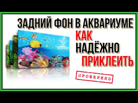 Видео: Как наклеить фон в аквариуме на глицерин?