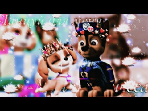 Видео: 🥴💗Гонщик и Скай💗🥴(Принцесса)~Для Ивана Иванова~🥴💗Chase x Skye💗🥴