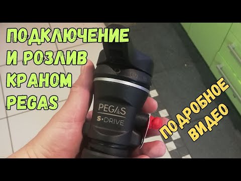 Видео: Розлив пива пегасом PEGAS S DRIVE