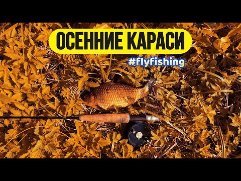 Видео: | Ловля карася нахлыстом на вату |