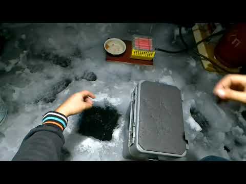 Видео: Рыбалка на Рипуса на оз.Инголь