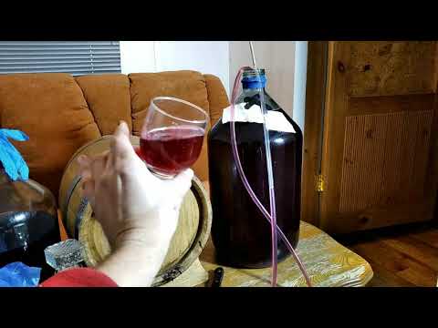 Видео: Купажированный Портвейн.Обзор Шампанского.Второй слив Вина с осадка.
