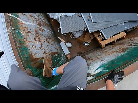 Видео: Рыться в мусорном баке: «Это моя сосиска!»