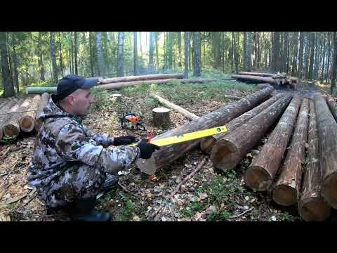 Видео: Строю ИЗБУ. Ловлю РЫБУ. Часть 1