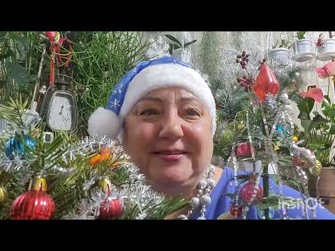 Видео: Эстафета. С Новым годом! 31.12.2023.