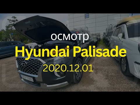 Видео: Осмотр Palisade 2.2 4WD Calligraphy с площадки в Корее #автоизкореи #проходныеавто #отчетдляклиентов