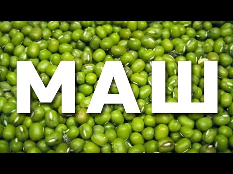 Видео: Маш, Что приготовить из маша, несколько идей - салат, суп, гарнир, второе