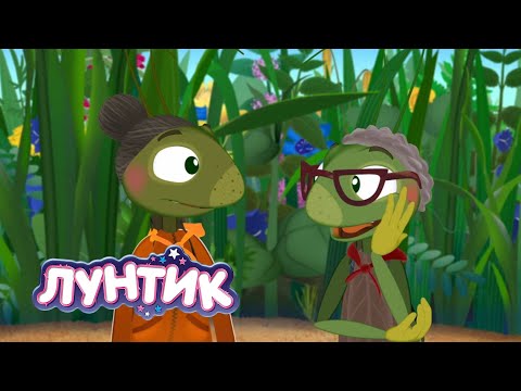 Видео: Лунтик | Новые бабули | Мультики для детей