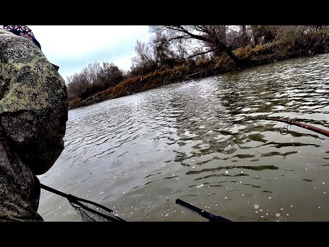 Видео: ЗАВОДИ МОТОР,,,Я ЕЕ НЕ МОГУ ПОДНЯТЬ.....ТРОФЕЙНАЯ РЫБАЛКА В ВЕРХОВЬЯХ ОБИ!! Крупная щука , судак!