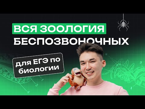 Видео: ВСЯ ЗООЛОГИЯ БЕСПОЗВОНОЧНЫХ ДЛЯ ЕГЭ ПО БИОЛОГИИ | NeoFamily