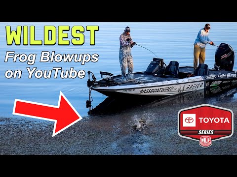 Видео: Это САМЫЕ ДИКАЯ анимация лягушек, когда-либо снятая на YouTube!!