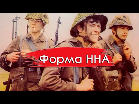 Видео: Форма ННА ГДР/Ликбез