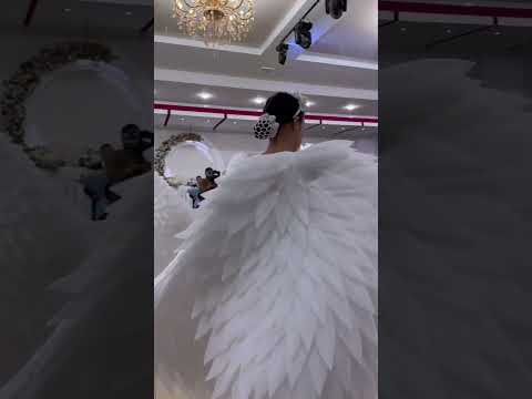 Видео: 14 ноября 2024 г.