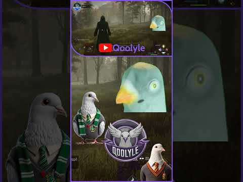 Видео: Непростительное заклинание #qoolyle #shorts #хогвартс #hogwarts #игры #прохождение #рек #голубь