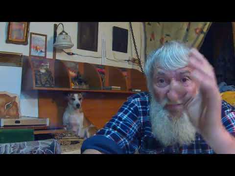 Видео: Лучше бестолку работать; чем бестолку лежать на диване