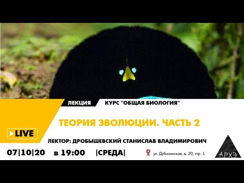Видео: Станислав Дробышевский: "Теория эволюции. Часть 2"