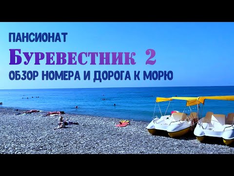 Видео: Пансионат Буревестник 2 : Обзор номеров, дорога к морю / Вишневка, Сочи 2020