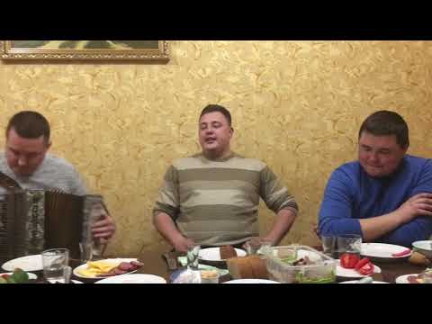 Видео: Павло Стаднік та його друзі ( цвіте черемшина )