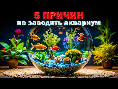 Видео: 5 причин не заводить такой аквариум дома [ТИПИЧНАЯ ОШИБКА начинающих в аквариумистике]