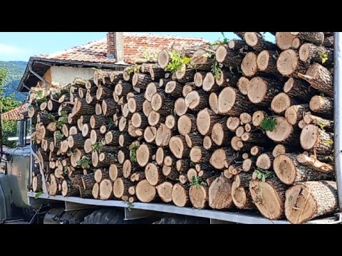 Видео: Осигурихме топлото и хладното.Калъпи за сирене