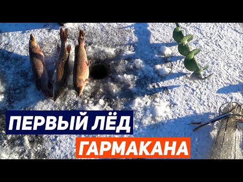 Видео: ПЕРВЫЙ ЛЁД ГАРМАКАНА 2023-2024 | МОРМЫШКА, БАЛАНСИР ИЛИ ХАПУГА | ЗИМНЯЯ РЫБАЛКА