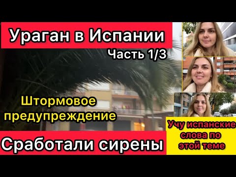 Видео: VLOG Штормовое предупреждение.