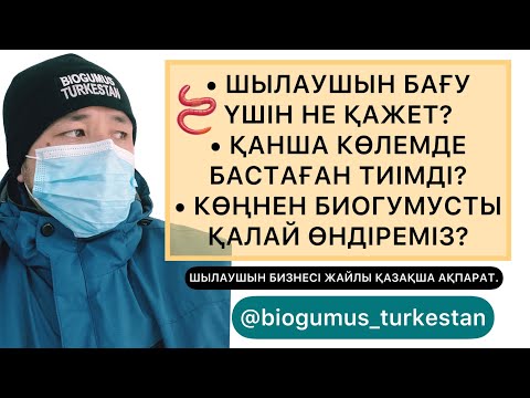 Видео: ШЫЛАУШЫН БИЗНЕСІНЕ ҚЫЗЫҒУШЫЛАРҒА ҚАЗАҚША АҚПАРАТ | КӨҢНЕН БИОГУМУС ҚАЛАЙ ӨНДІРЕМІЗ?