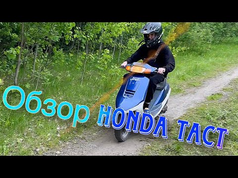 Видео: Обзор  скутера Honda Tact at24