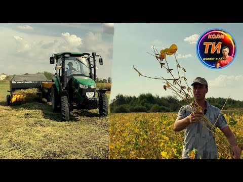 Видео: 4 укіс люцерни🙃супер еліта соя Олдхам😎тюкуємо ДТЗ 5504 НК👍