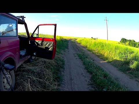 Видео: Летний металлокоп по новым местам!