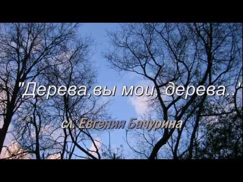 Видео: Дерева , вы мои дерева..(сл .Евгения Бачурина)