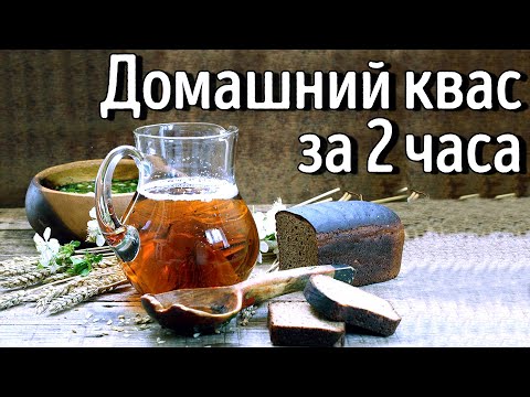 Видео: Квас из цикория