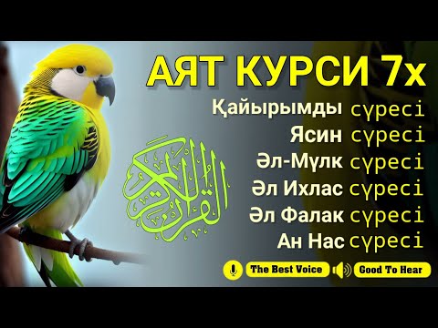 Видео: ҚҰРАН ОҚУ ҰЙЫҚ УАҚЫТЫ | Орындық өлеңі | Ар Рахман сүресі | Әл Мулк | Ясин | Тарек Мұхаммед