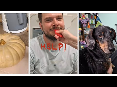 Видео: КАК ПРАВИЛЬНО УХАЖИВАТЬ ЗА МУЖЕМ/ОСЕННИЙ СОЧИНСКИЙ НАТЮРМОРТ ИЗ ОВОЩЕЙ/ЛЕВ ЩЕНОЧЕК