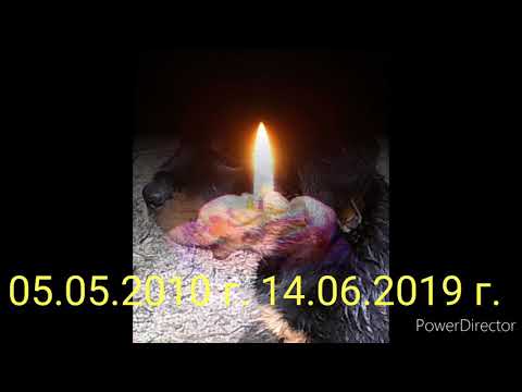 Видео: Мост радуги