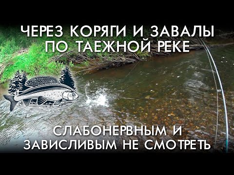 Видео: ЧЕРЕЗ КОРЯГИ И ЗАВАЛЫ ПО ТАЕЖНОЙ РЕКЕ / СЛАБОНЕРВНЫМ И ЗАВИСЛИВЫМ НЕ СМОТРЕТЬ