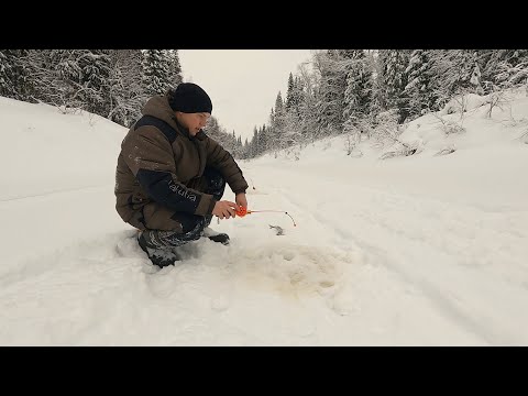 Видео: ПО ТАЕЖНОЙ РЕКЕ ЗА ХАРИУСОМ. ГЛУХОЗИМЬЕ. РЫБАЛКА И АКТИВНЫЙ ОТДЫХ