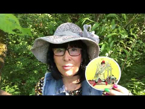 Видео: Прогулка с колодой Таро