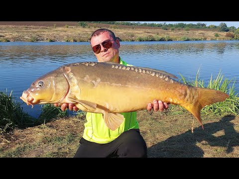 Видео: Незабываемая рыбалка на реке  Чёрный Ташлык  "Скифия"