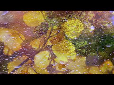 Видео: Память-паутина - Татьяна Тушкова