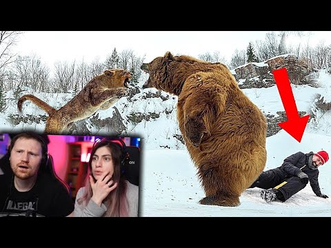 Видео: Животные, Которые Спасли Жизни Людей | РЕАКЦИЯ на Smart Pizza