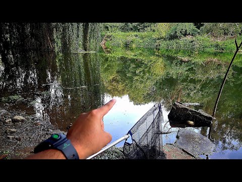 Видео: РИБОЛОВ на ПЛУВКА. На РЕКА ЯНТРА