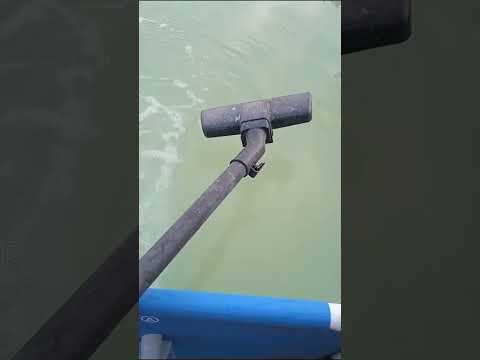 Видео: Зацвела вода в бассейне