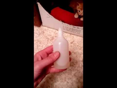 Видео: Делюсь опытом по выхаживанию новорожденных котят