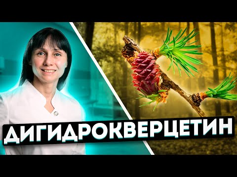 Видео: Дигидрокверцетин на защите здоровья Доктор Лисенкова