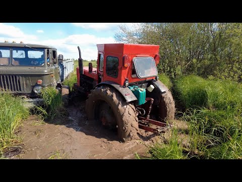 Видео: Трактор против грузовика на бездорожье!!! Т-40АМ и ГАЗ-66 в болоте!!! Не ожидал что так будет..